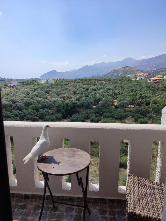 Natural Green Apartment Дамнони Экстерьер фото